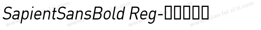 SapientSansBold Reg字体转换